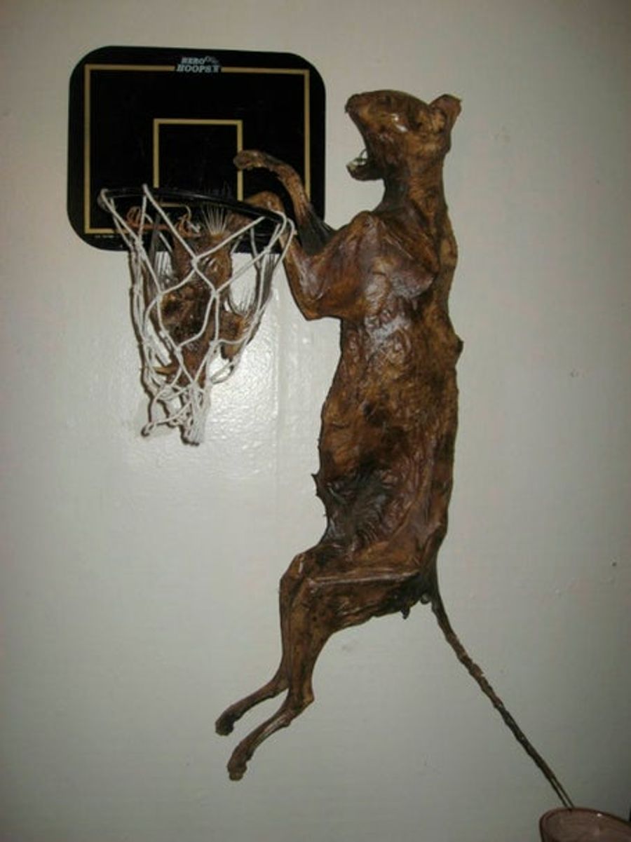 "Mummified Cat Slam Dunking Mummified Bird" Is Exactly What It Sounds Like
