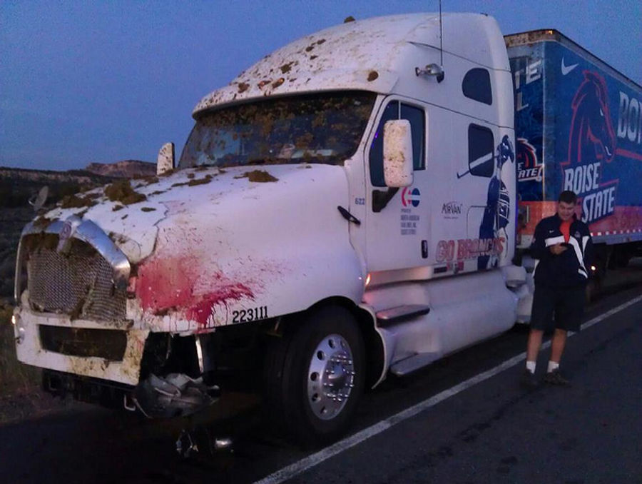 A Boise State Equipment Truck Hit A Cow, And Someone Took A Picture Of The Aftermath [UPDATE]