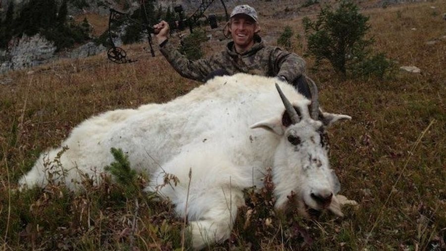 David Booth Hath Slain The Goatbeast