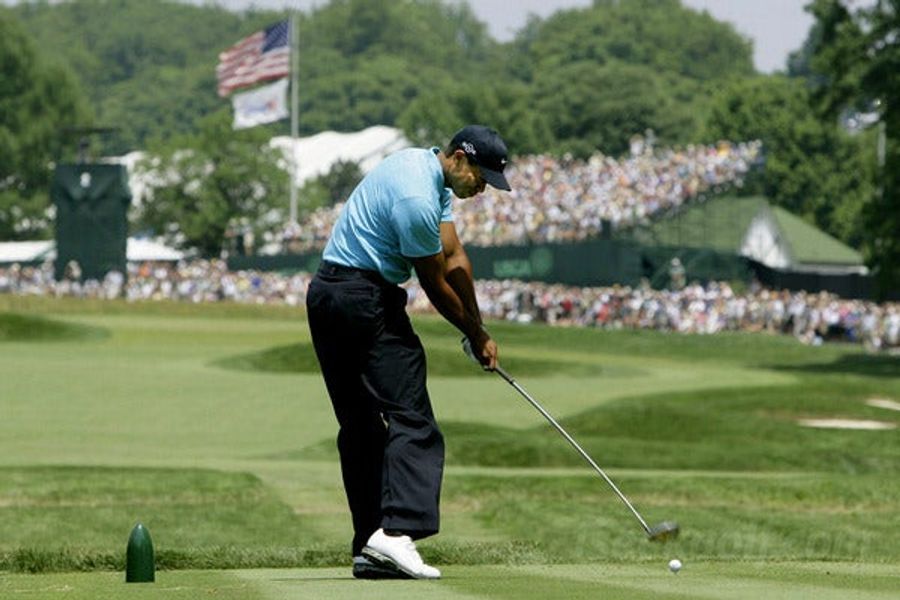 Following Tiger ... For An Entire Year