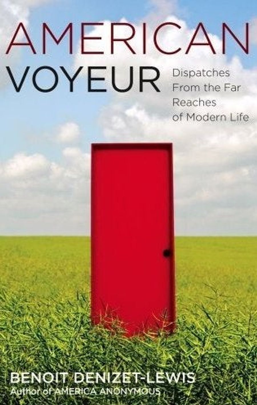 Book Excerpts That Don&#39;t Suck: <em>American Voyeur</em>