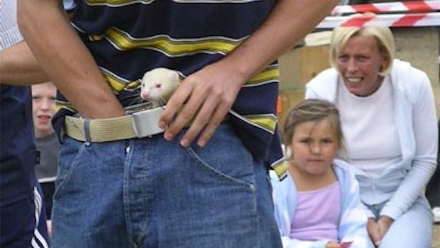 The King Of The Ferret Leggers: The Classic Tale Of Sportsmen Who Put Carnivores Down Their Pants