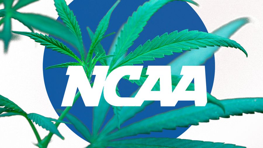 No, Marijuana Decriminalization Will Not Affect NCAA Recruiting In Colorado Or Washington