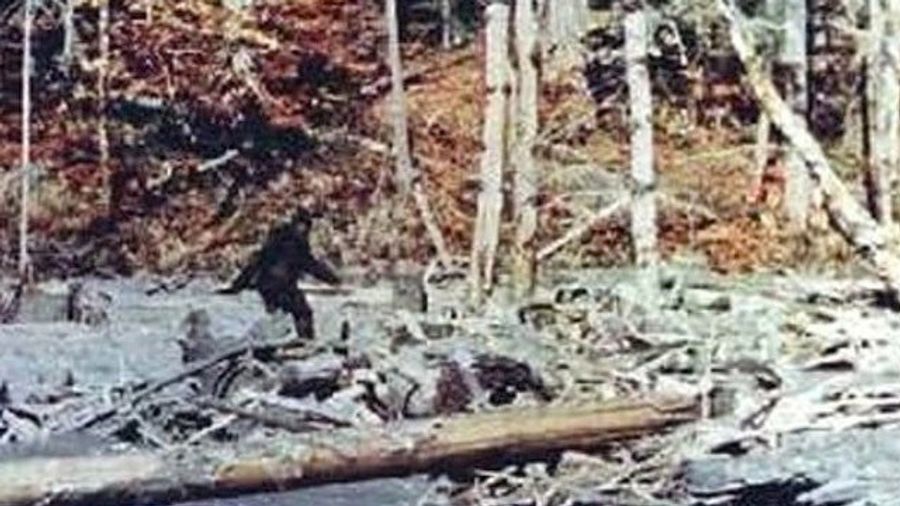 You Should Read This Before You Go Bigfoot Hunting