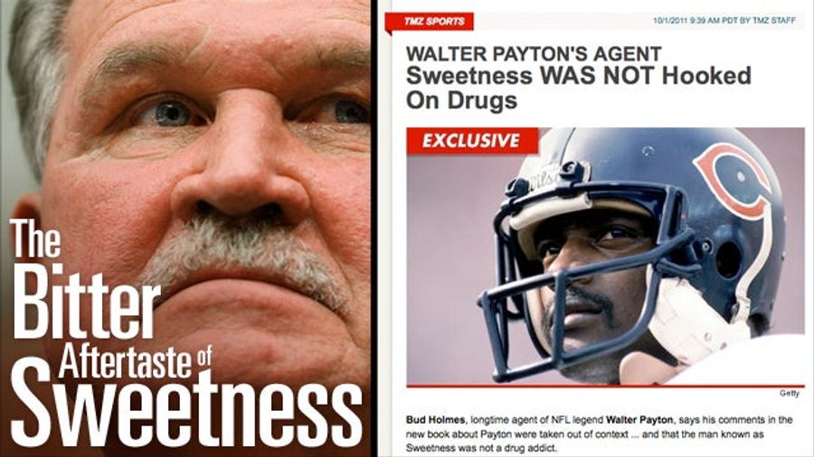 Just Read The Damn Book: Welcome To The <em>Sweetness</em> Bash