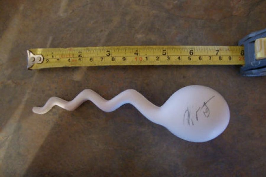 What's Really Special About This Picture Is That Chipper Jones May Have Signed A 7-Inch Sperm Replica