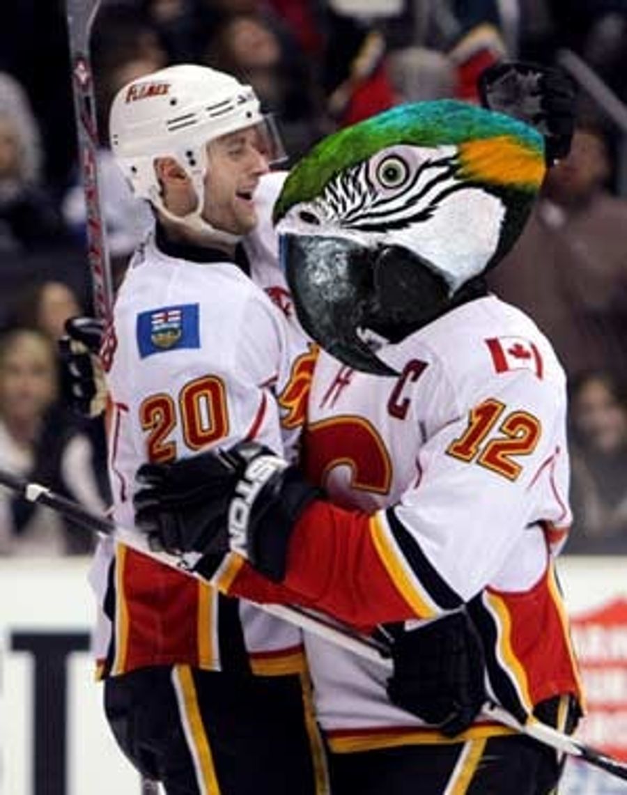 Dammit, Walter The Hockey-Loving Parrot: This Is All Your Fault