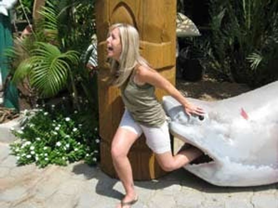 The Sharks' Biggest Chum-Guzzlers