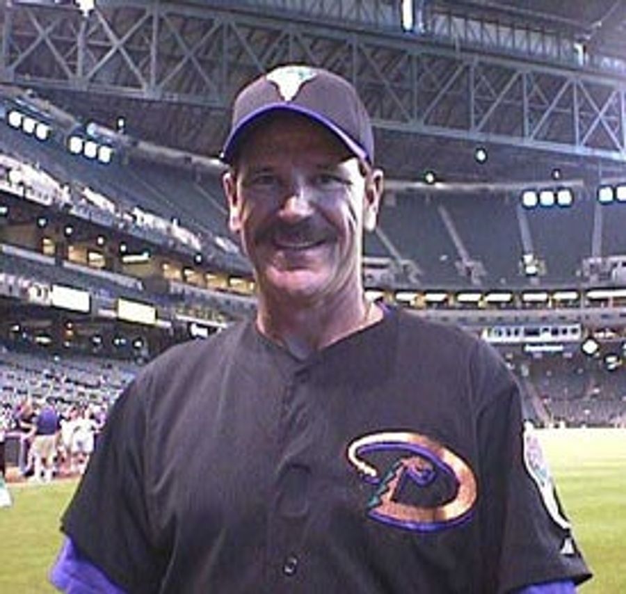 Four Tiny Tidbits On: The Diamondbacks