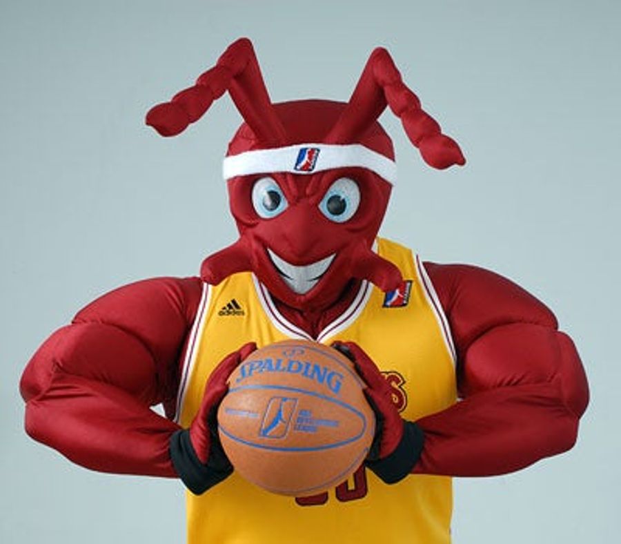 Deadspin HOF Nominee: Nightmare Ant