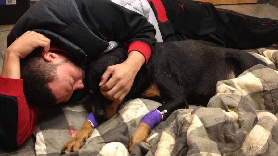 Charlie Batch Also Had To Put His Dog To Sleep Last Week