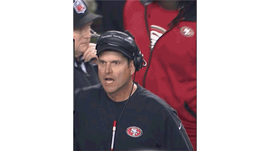 This Jim Harbaugh Freakout Is Priceless, The Ray Lewis Freakout Is Just Weird: Your NFL Conference Championships GIFs Roundup [Updated]