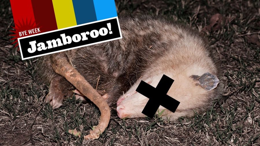A Treasure Trove Of Animal Murder Stories For Your Super Bowl Off-Week