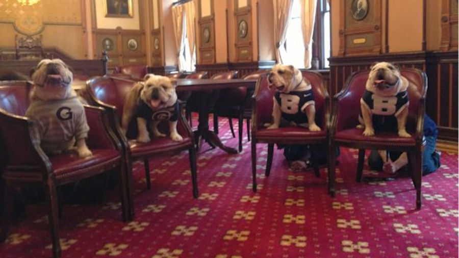 This Photo Of The Georgetown And Butler Bulldogs Is Just The Cutest Goddamn Thing