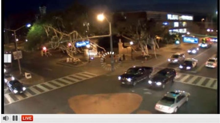 Let Us Begin Our All-Night Tree Vigil For The Oaks At Toomer's Corner