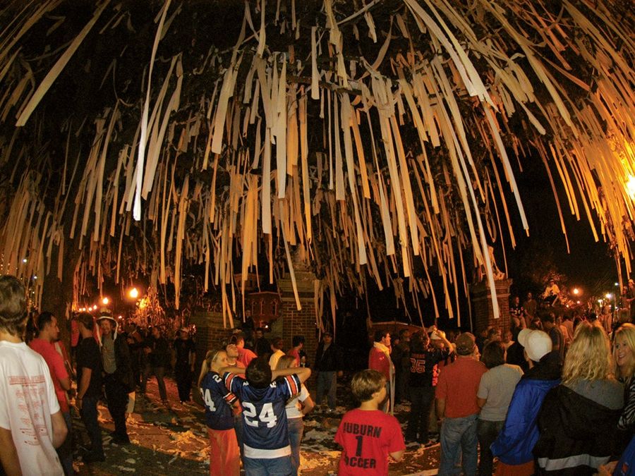 Pour One Out For Auburn's Trees Tonight