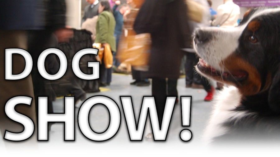 Calling Off The Dogs: Day 2 At Westminster