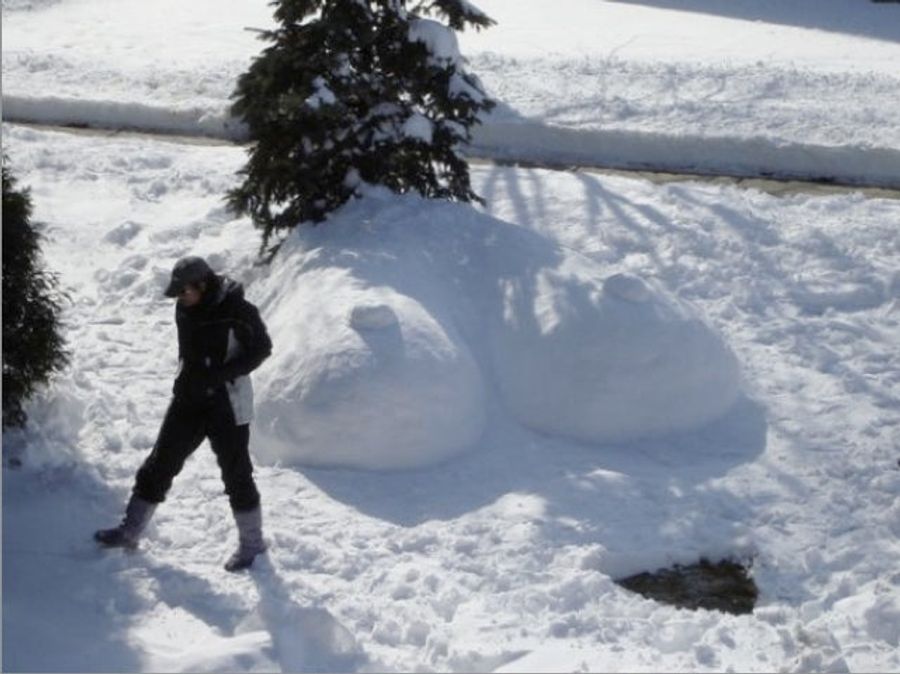 This Was The Day Snow Dong Evolved Into Snow Tits