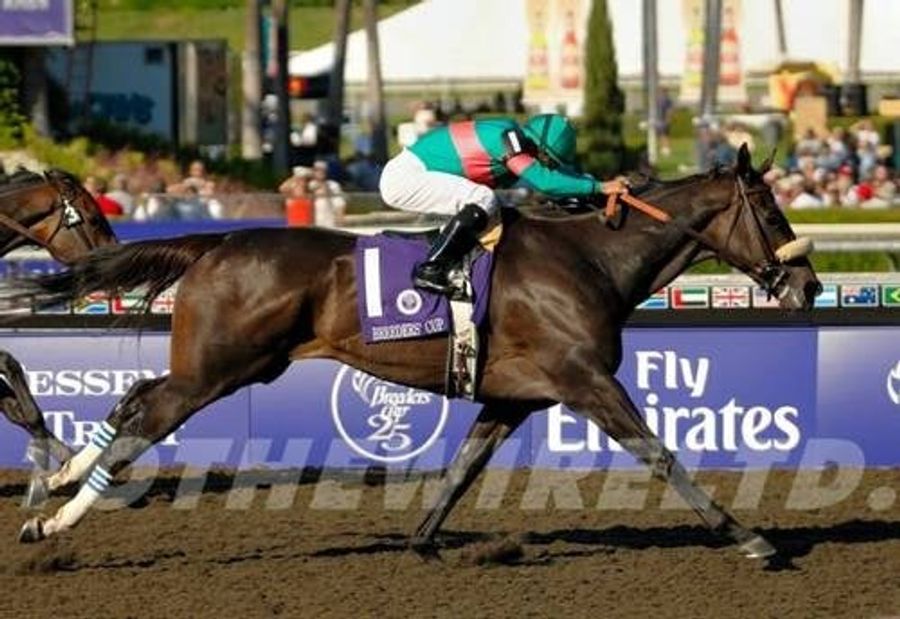 Is Superhorse Zenyatta About To Win, Place Or Die?