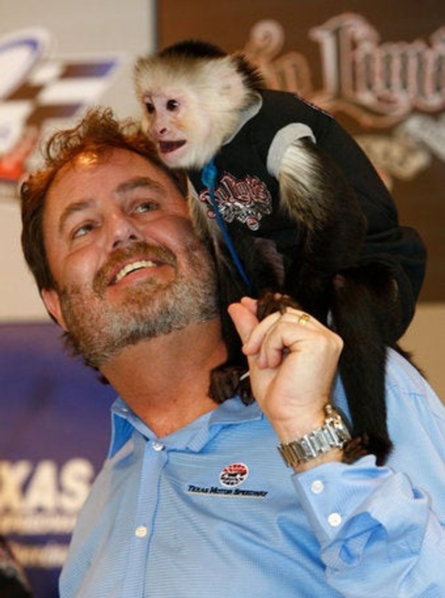 Monkeys Will Sell Programs, Hear Complaints About Jobs At Today&#39;s NASCAR Race