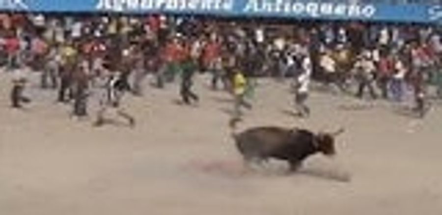 Who Wants To See Bulls Gore A Few Colombians To Death?