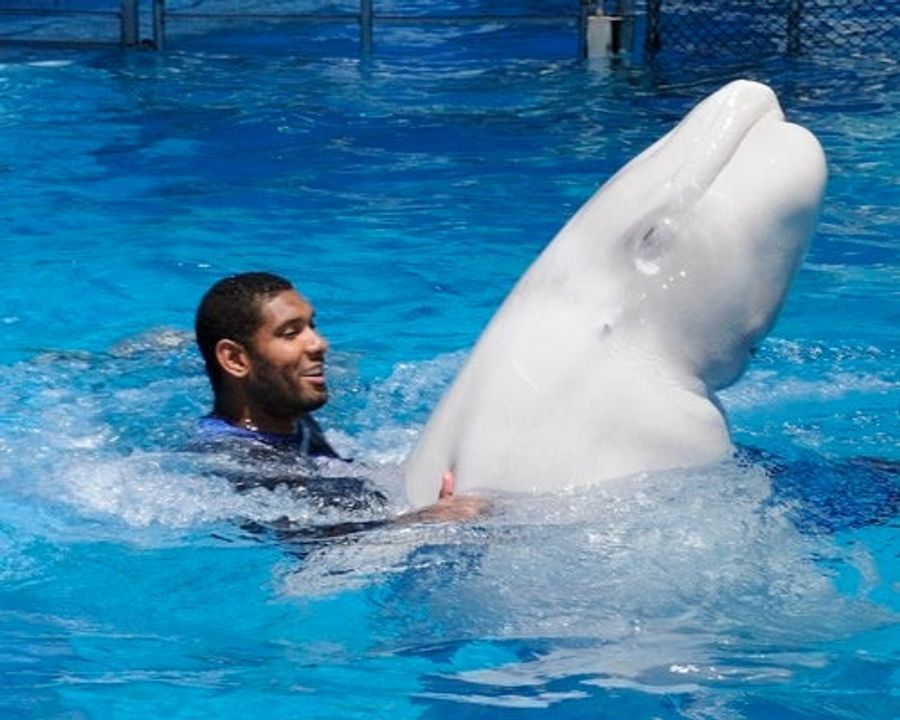 What In God's Name Is Tim Duncan Doing To That Whale?