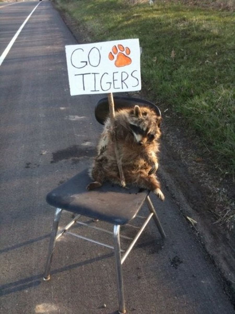 Everyone In Rochester Is Psyched For The Frozen Four