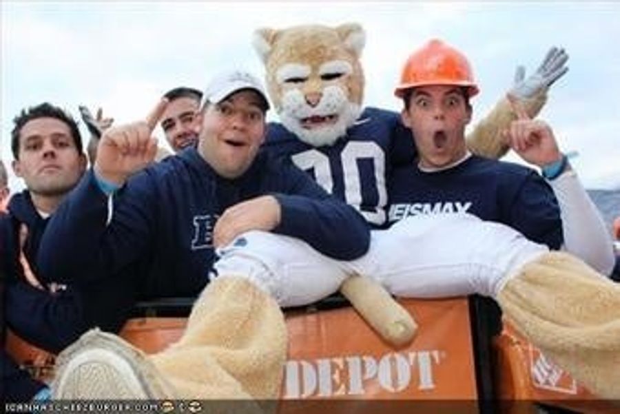 John.  Cougar.  Mormon Camp.