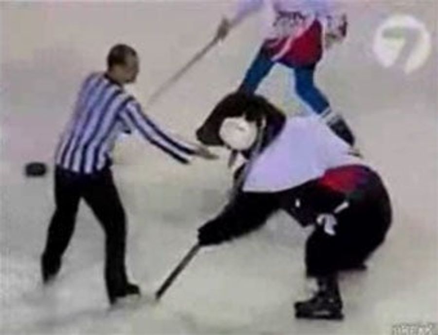 Begun, The Hockey Playing Ice Bear War Has