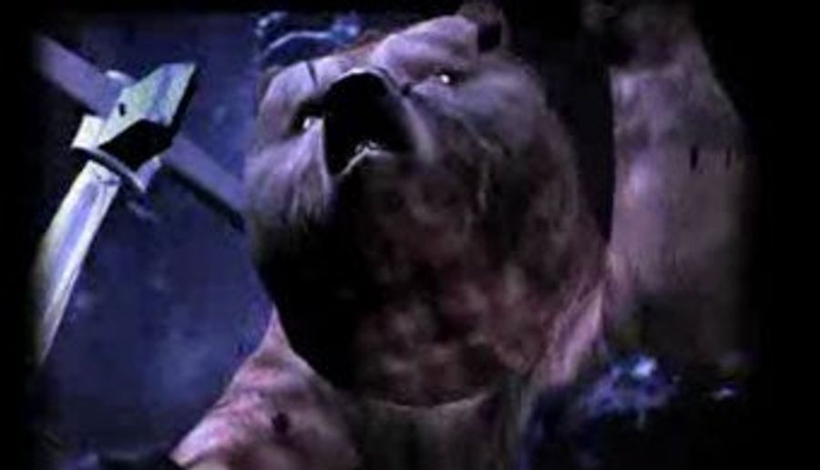 Why Do Bears Hate Alaskan Sports Facilities?