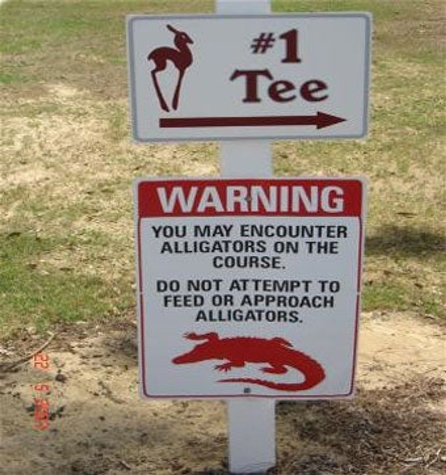 South Carolina Golfer Loses Arm To Angry Alligator