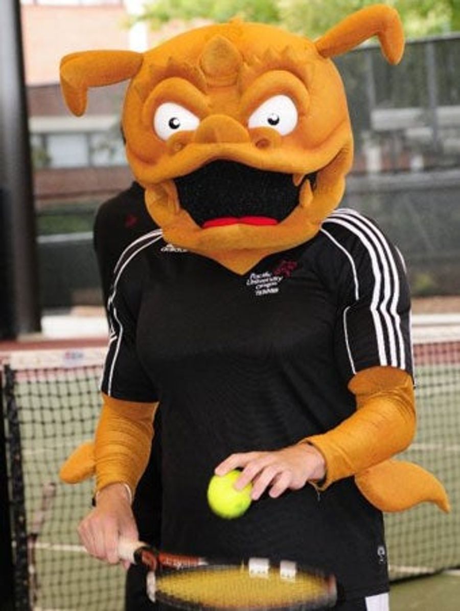 The Pacific Boxer Does Not Wish You Sweet Dreams Tonight