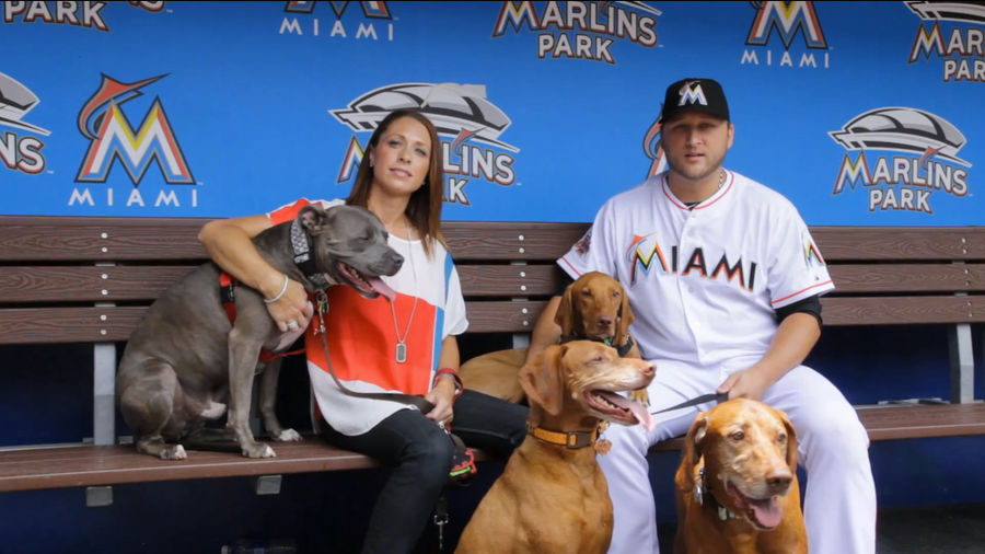 Mark Buehrle Will Leave His Family Behind Because His Dog Is Banned In Toronto