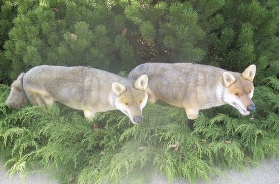 ESPN Now Beset By Non-Plastic Vulpine Creatures