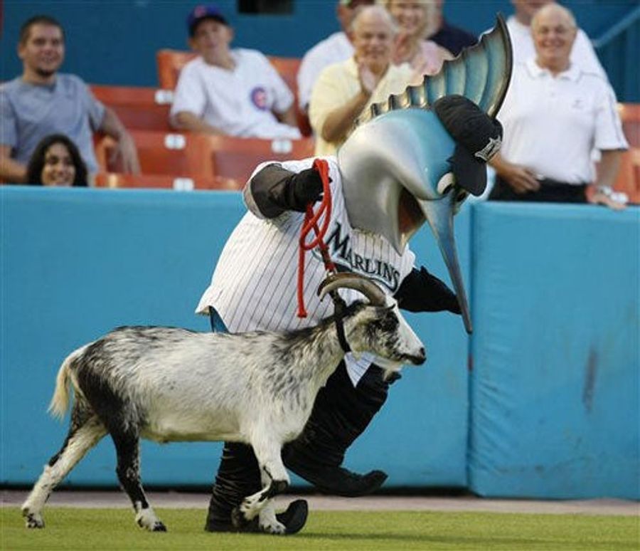 Goats Are The New Mutton