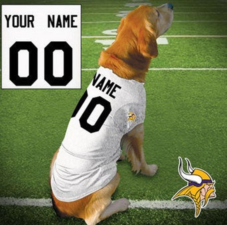 Insensitive NFL Sells Brett Favre Dog Jerseys!