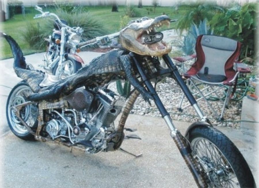 The Bike-Mounted Alligator Is The Bayou's Apex Predator