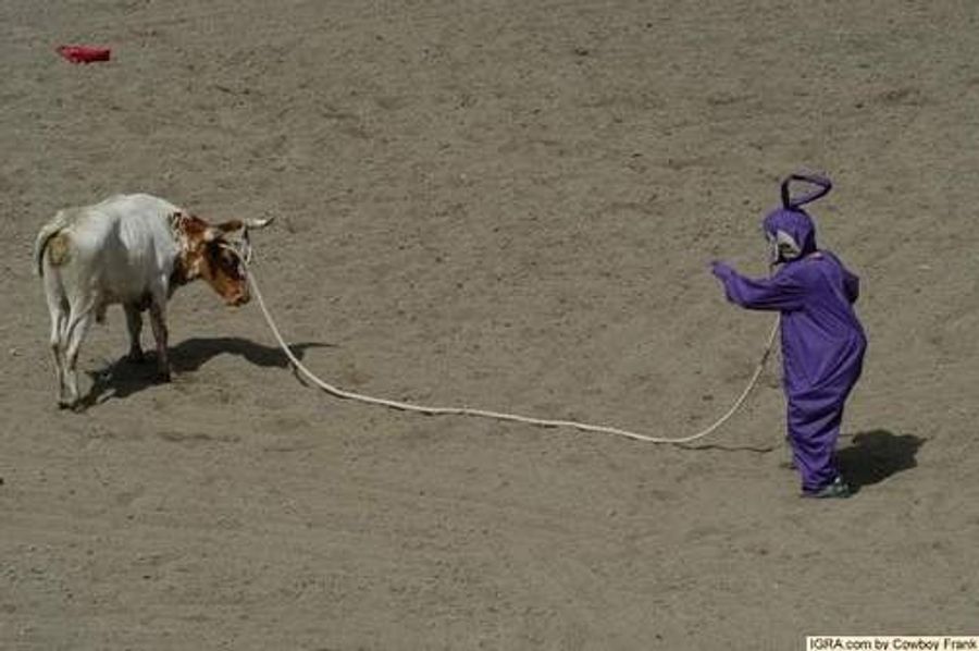 Gay Rodeo Rides Bareback Into America's Heart