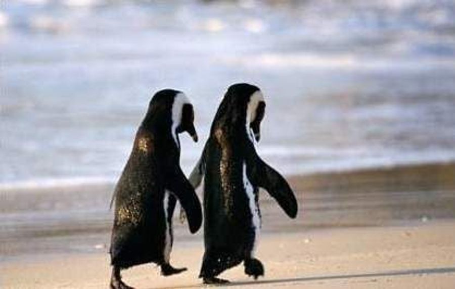 Crosby's Still Single; Perhaps You Can Have Both