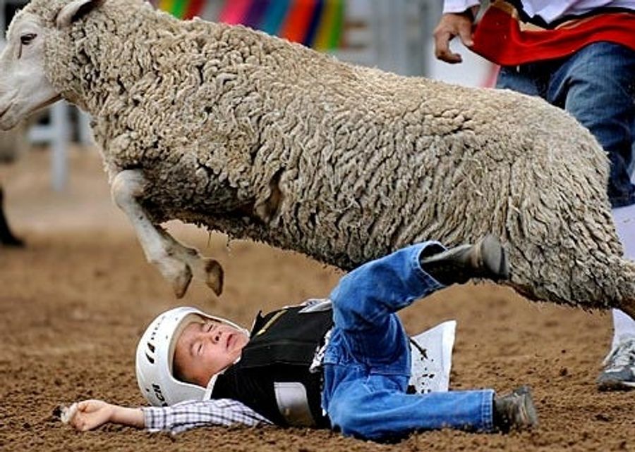 The Patriotism Of &quot;Mutton-Bustin&#39;&quot;: The Young Men In The Arena Clinging Bravely To Our Last Chance At Global Competitiveness