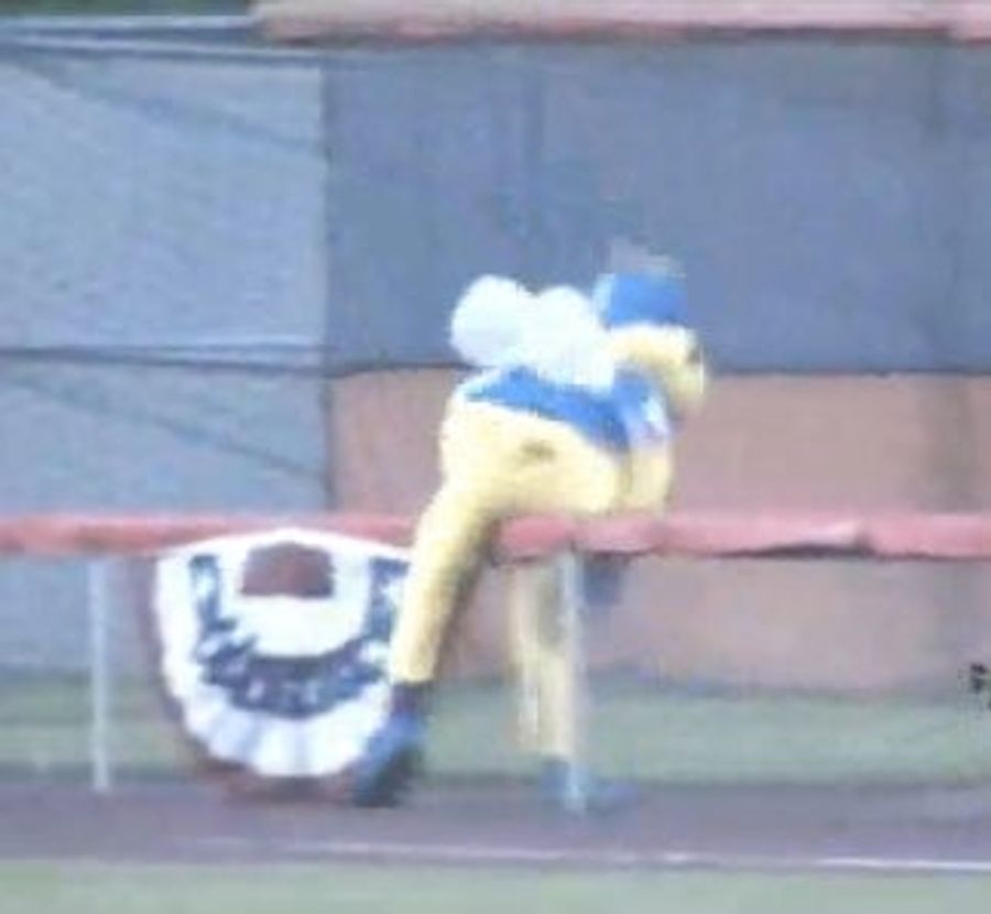 Bingo The Bumbling Bee Bashes His Bee Balls