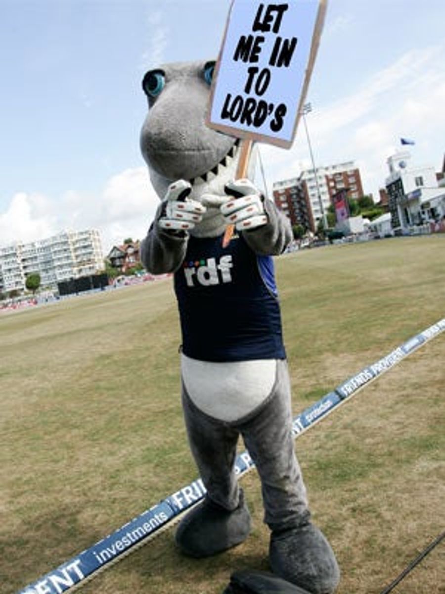 Mascot Intolerance Is A Shark Sandwich