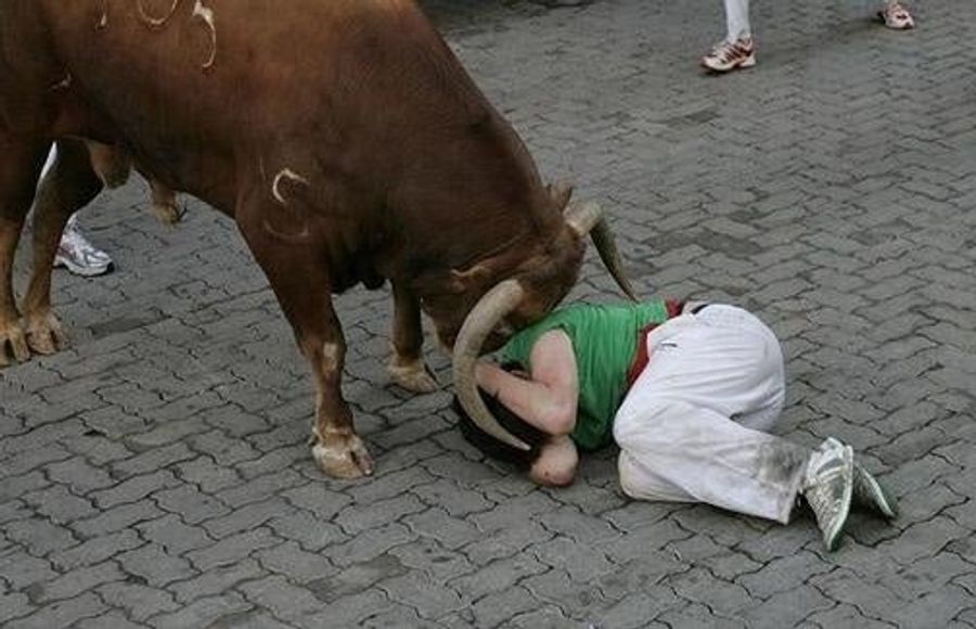 Wait, Maybe Running With Bulls Isn't Such A Great Idea?