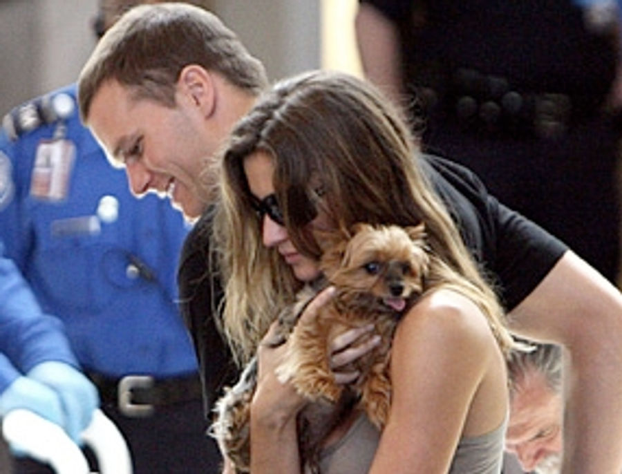 John Edward Brady Will Soon Have Better Looking Half-Brother Or Half-Sister To Resent