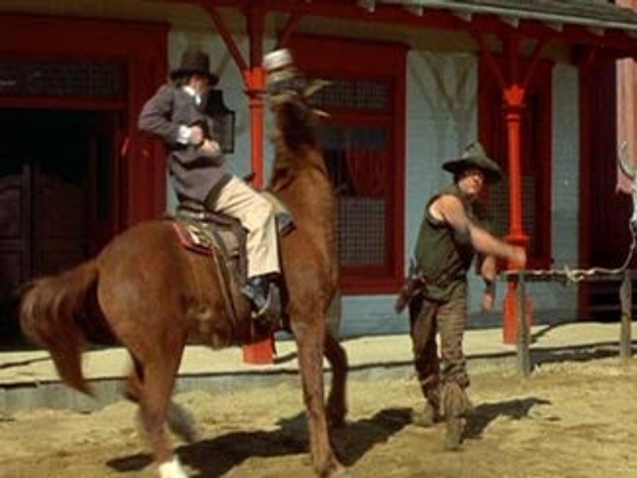 I Guess They Do Shoot Horses, Don't They?
