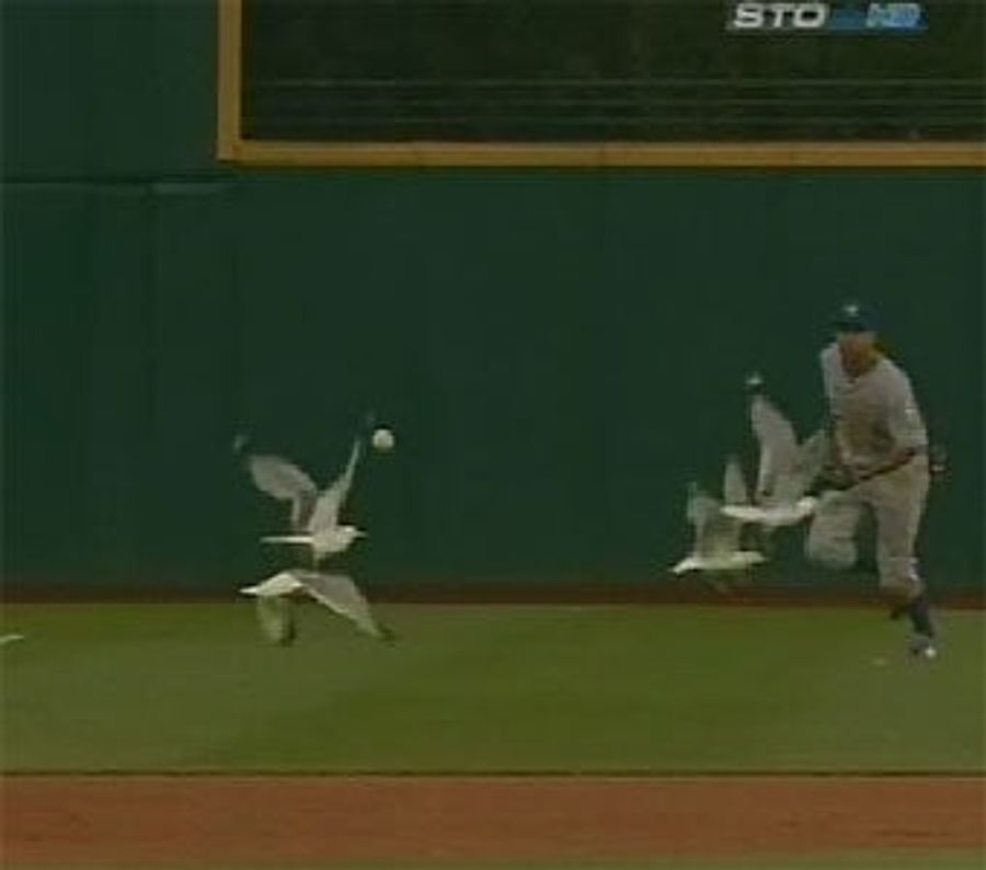 Cleveland's Flock Of Seagulls Scores Another Hit