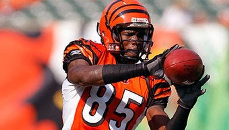 Chad Johnson Loves His Quarterback, Uncomfortable Sexual Metaphors