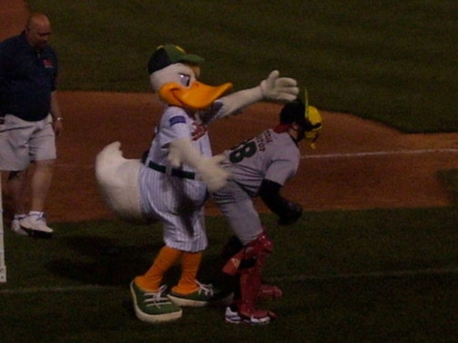 If It Walks Like A Duck And Whatever This Duck Is Doing To This Poor Man....