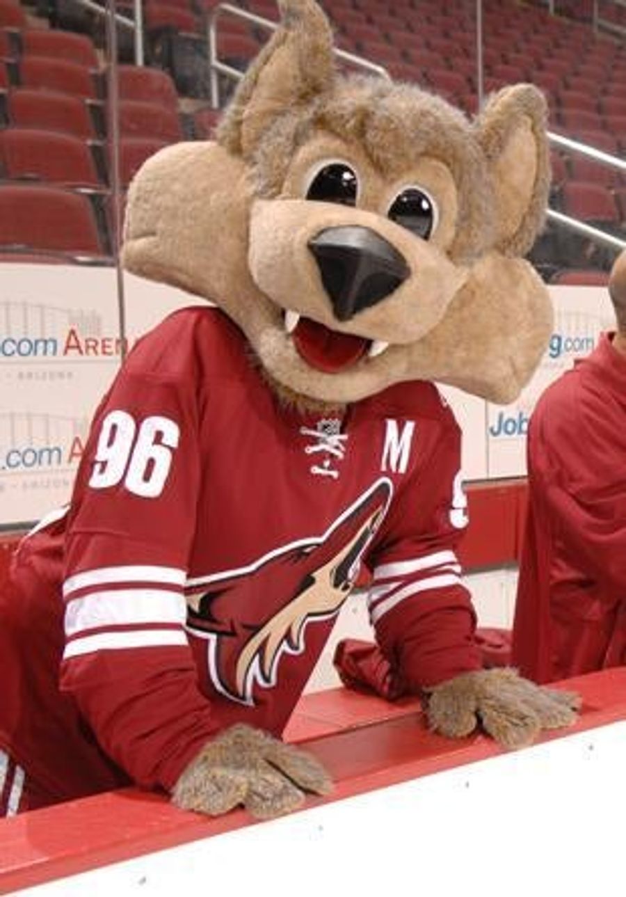 Phoenix Coyotes Go Bankrupt, Forget To Tell NHL
