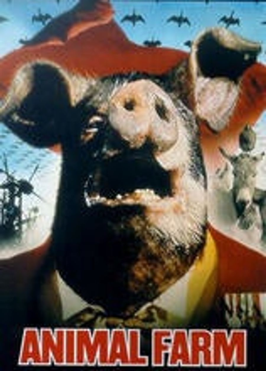 If You're Reading This Post, You Now Have Swine Flu